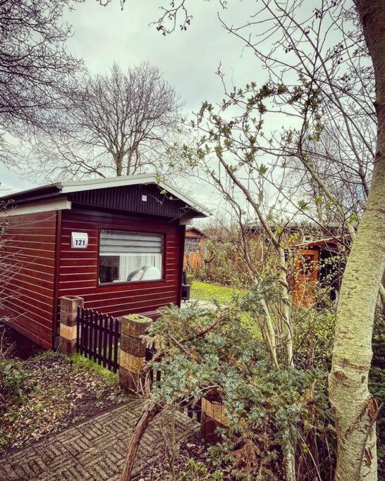 Knus Chalet Met Zwembad En Sauna Sint Maartensvlotbrug Exterior foto